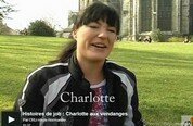 Histoires de job : Charlotte aux vendanges