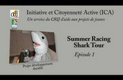 Shark Tour
